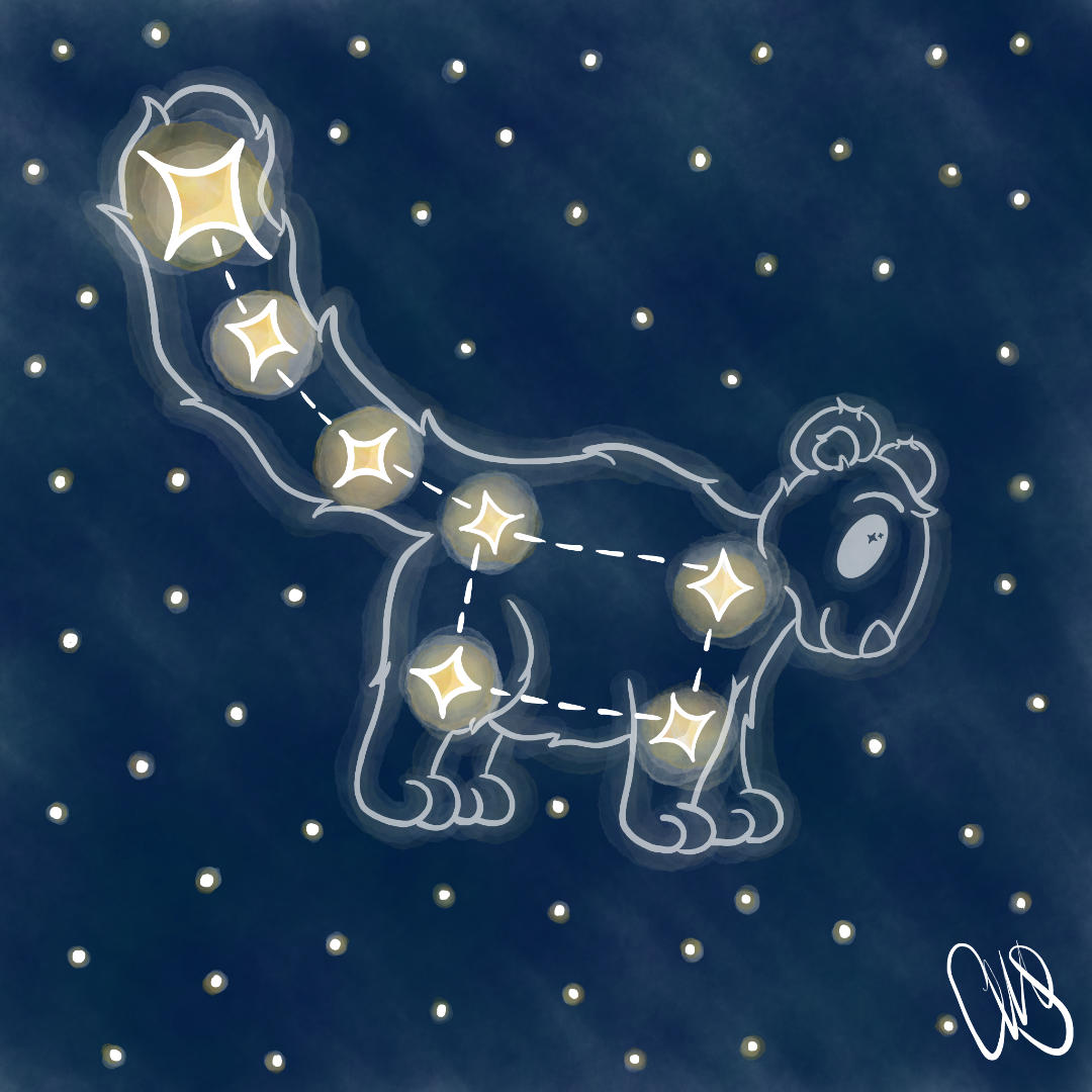 Little dipper constellation with the little bear drawn round it.